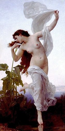 L'aurora