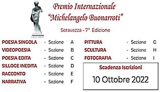 Premio Internazionale Michelangelo Buonarroti - Sezioni